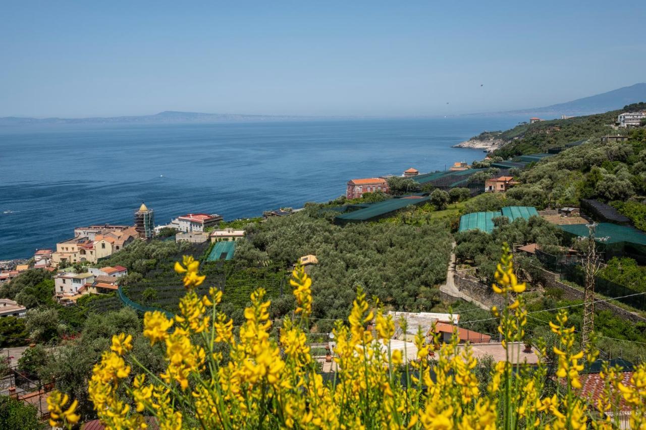 Neva Suites Massa Lubrense Sorrento Coast Экстерьер фото